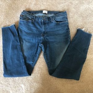 Hudson Jeans Size 31